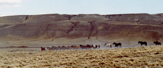 Designing Tierra Patagonia