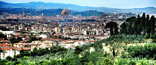 Modern Medici