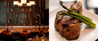 The Carnivore’s Dilemma