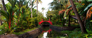 Charting the Backwaters