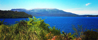 Kiwi Explorer
