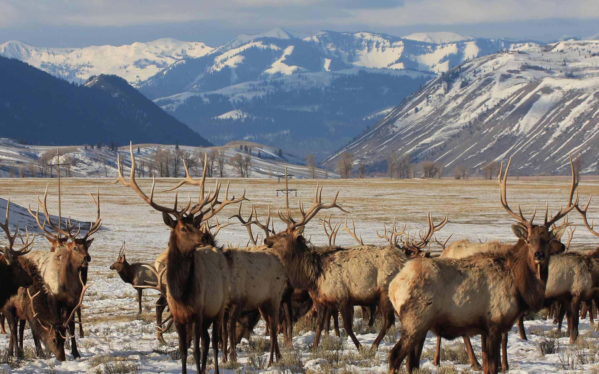 A FirstTimer's Guide to Jackson Hole — The Agenda by Tablet Hotels