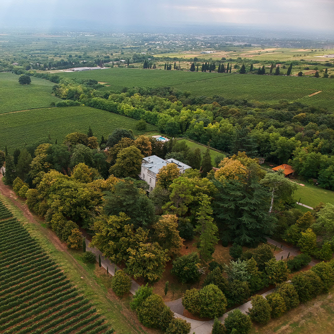 © Vazisubani Estate