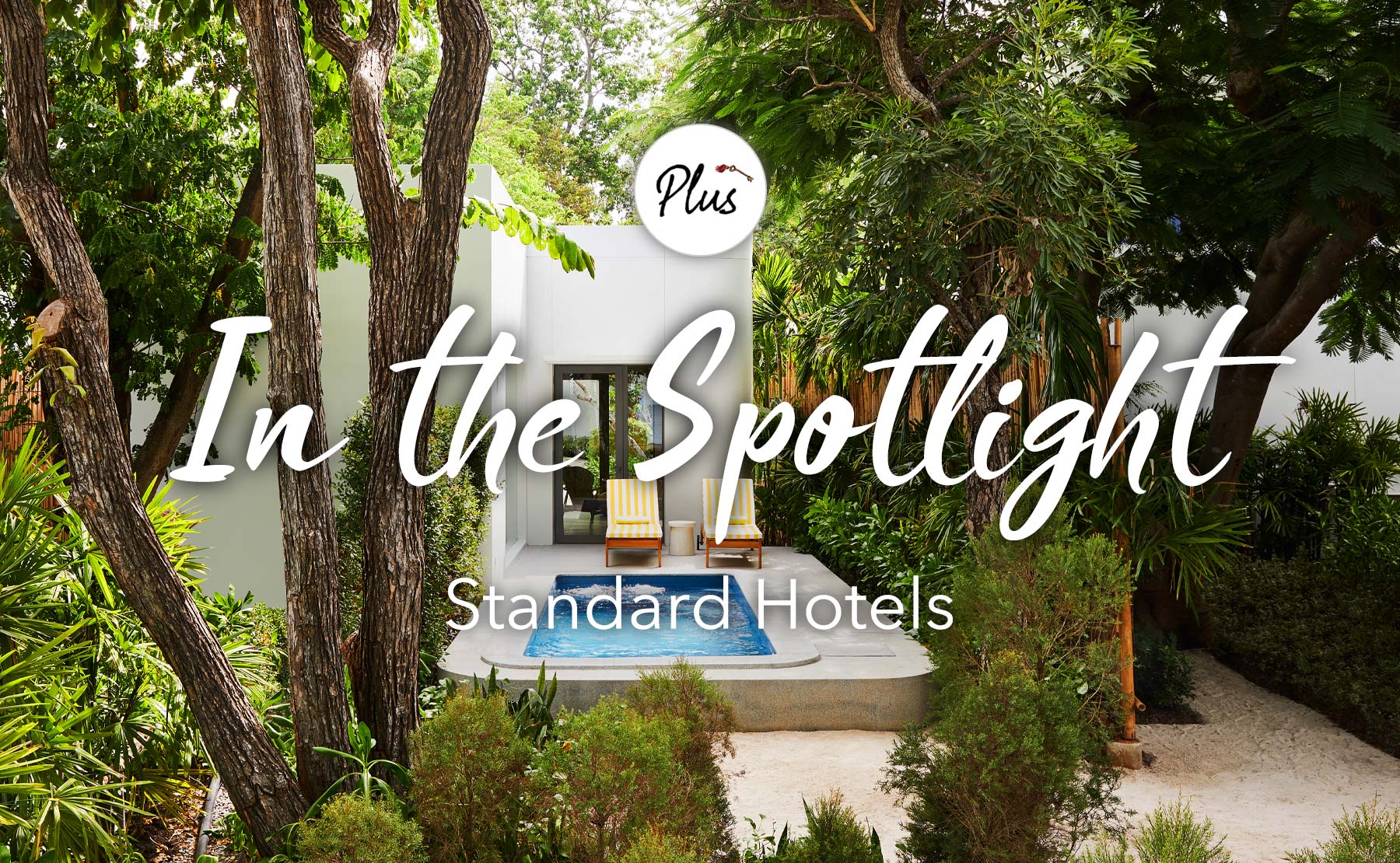 In the Spotlight The Standard Hotels (2023) — Tablet Hotels, the Magazine